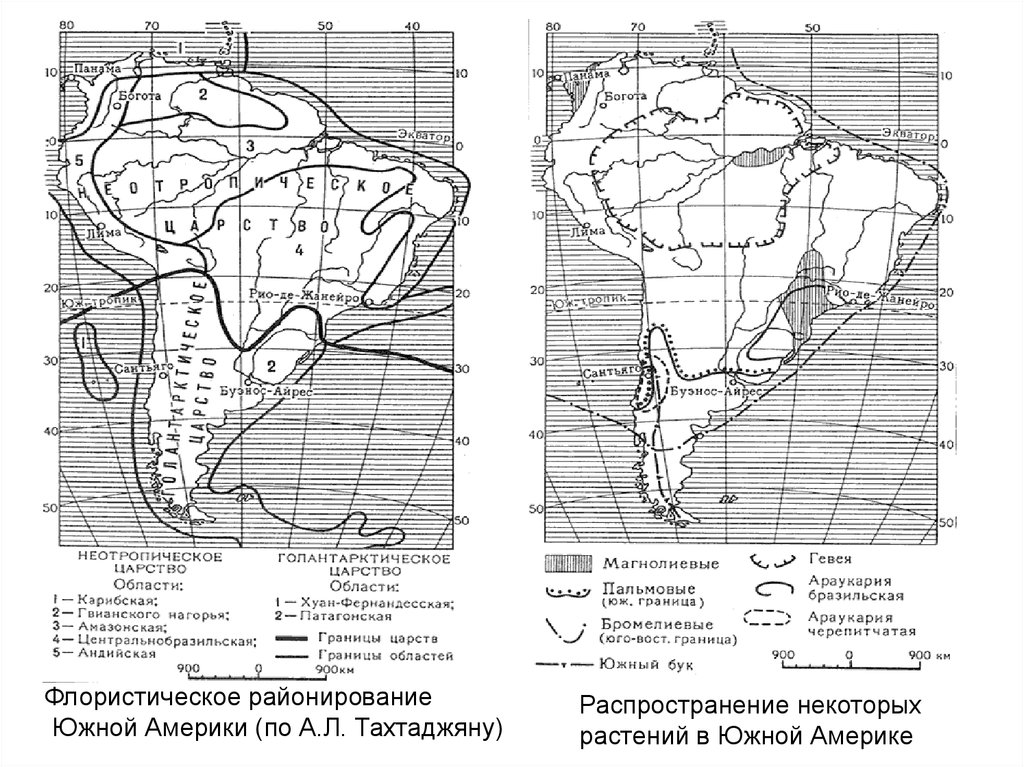 Фаунистическое районирование карта