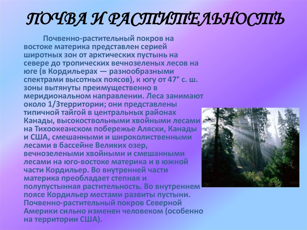 Презентация северная. Почвенно-растительный Покров. Почвенно-растительный Покров Южной Америки. Почвы Северной Америки кратко. Почвенный Покров Северной Америки.