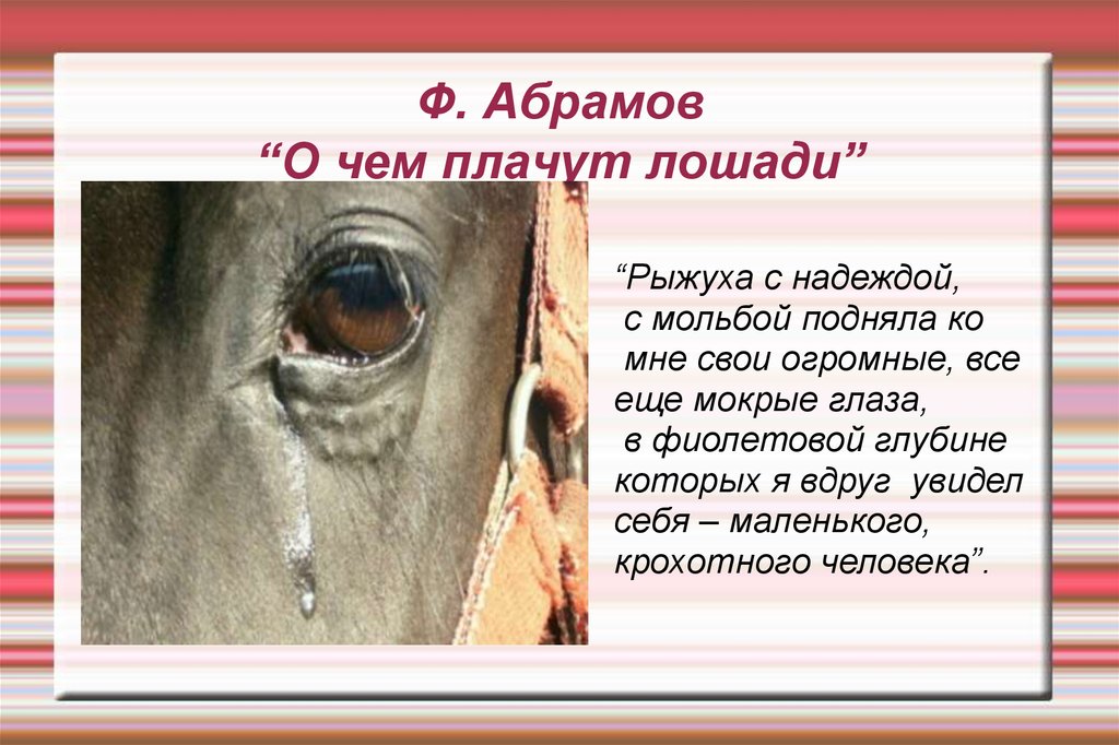 Рассказ о чем плачут лошади краткий пересказ. О чём плачут лошади. Абрамова о чем плачут лошади. Ф Абрамов о чём плачут лошади. О чем плачут лошади: рассказы.