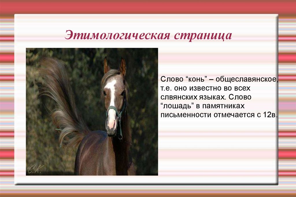 Лошадки со словами. Конь слова. Предложение со словом конь. Предложение со словом лошадь. Текст про лошадей.