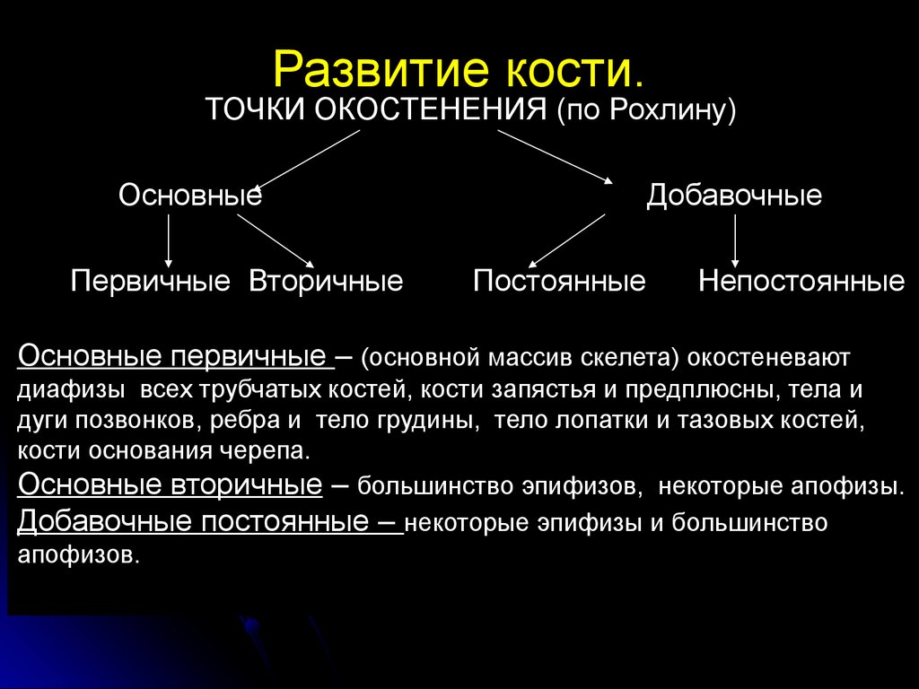 Развитие костей