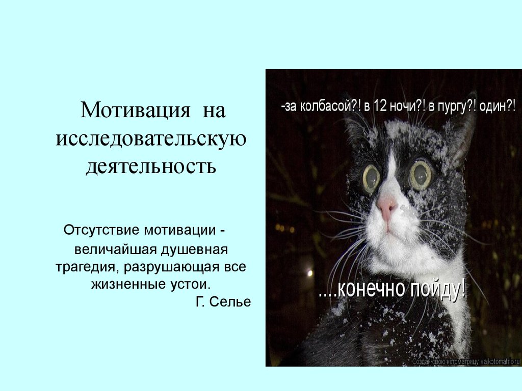 Отсутствие мотивации. Кот в пургу за колбасой. Ночью за колбасой. За колбасой ночью в пургу один конечно пойду.