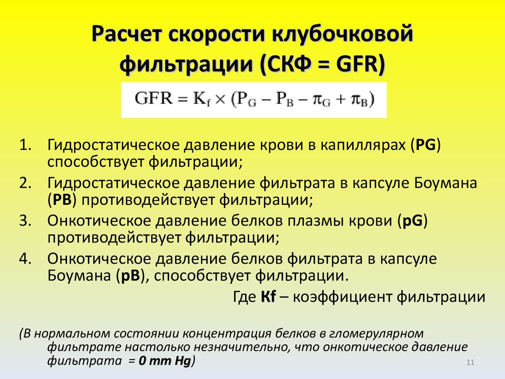 Скорость клубочковой фильтрации калькулятор. Формула для расчета фильтрации почек. Формула для расчета почечной фильтрации. Расчет скорости клубочковой фильтрации.