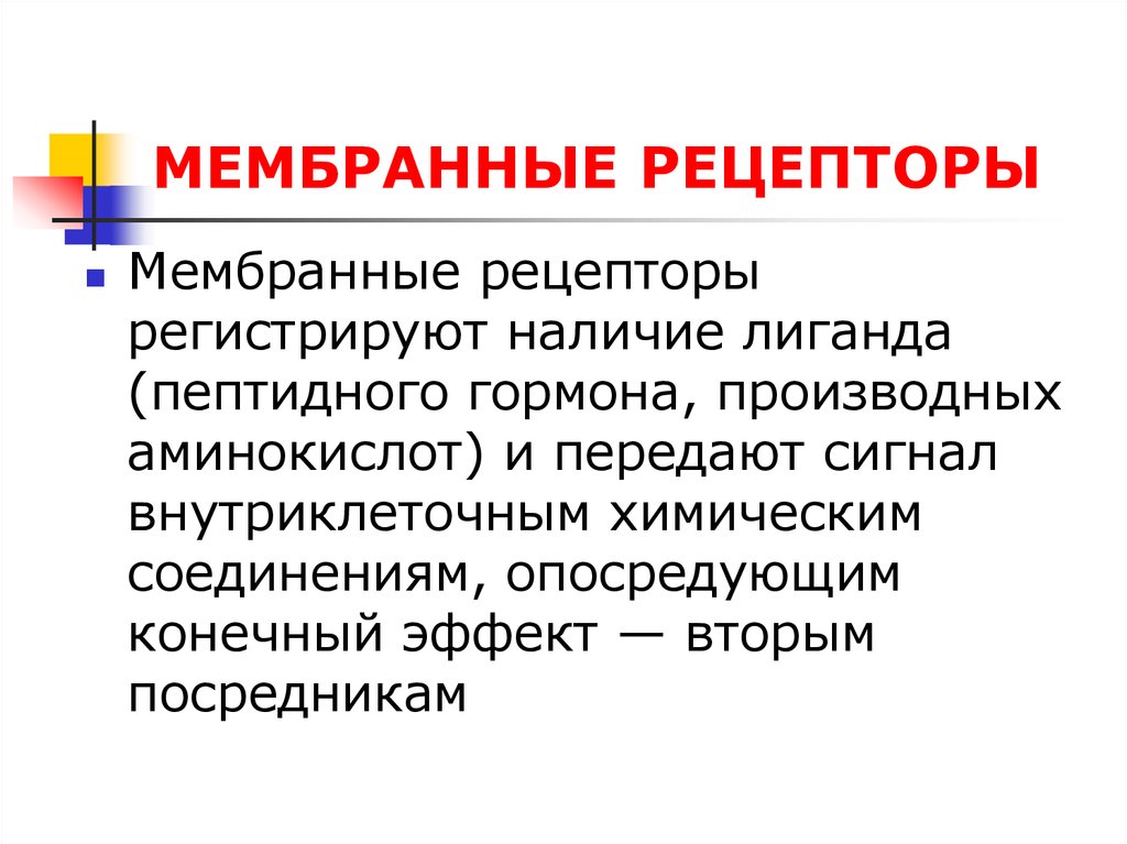 Функции рецепторов. Мембранные рецепторы. Типы рецепторов мембранные и внутриклеточные. Мембранные рецепторы биохимия. Мембранные рецепторы физиология.