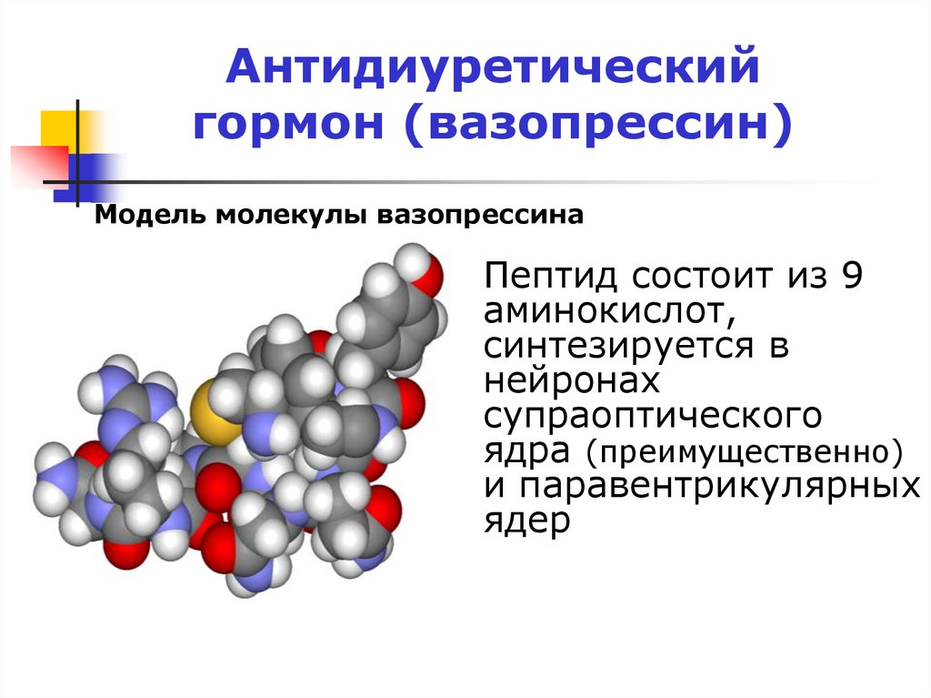 Вазопрессин диурез. Вазопрессин химическое строение. Антидиуретический гормон вазопрессин. Вазопрессин гормон биохимия. Антидиуретический гормон секретируется.