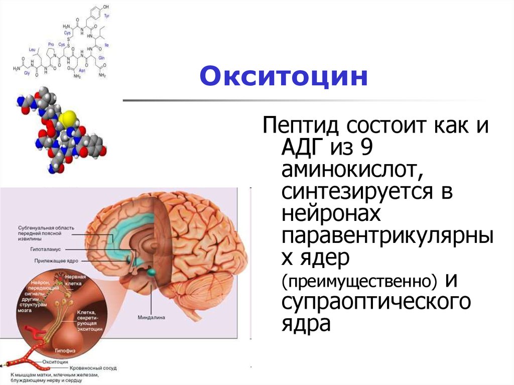 Родоусиление окситоцином схема