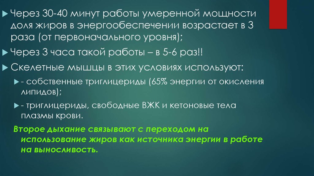 Первоначальный уровень. Работа умеренной мощности. Биохимические основы качества силы мышц. При работе умеренной мощности. Через 30 мин.