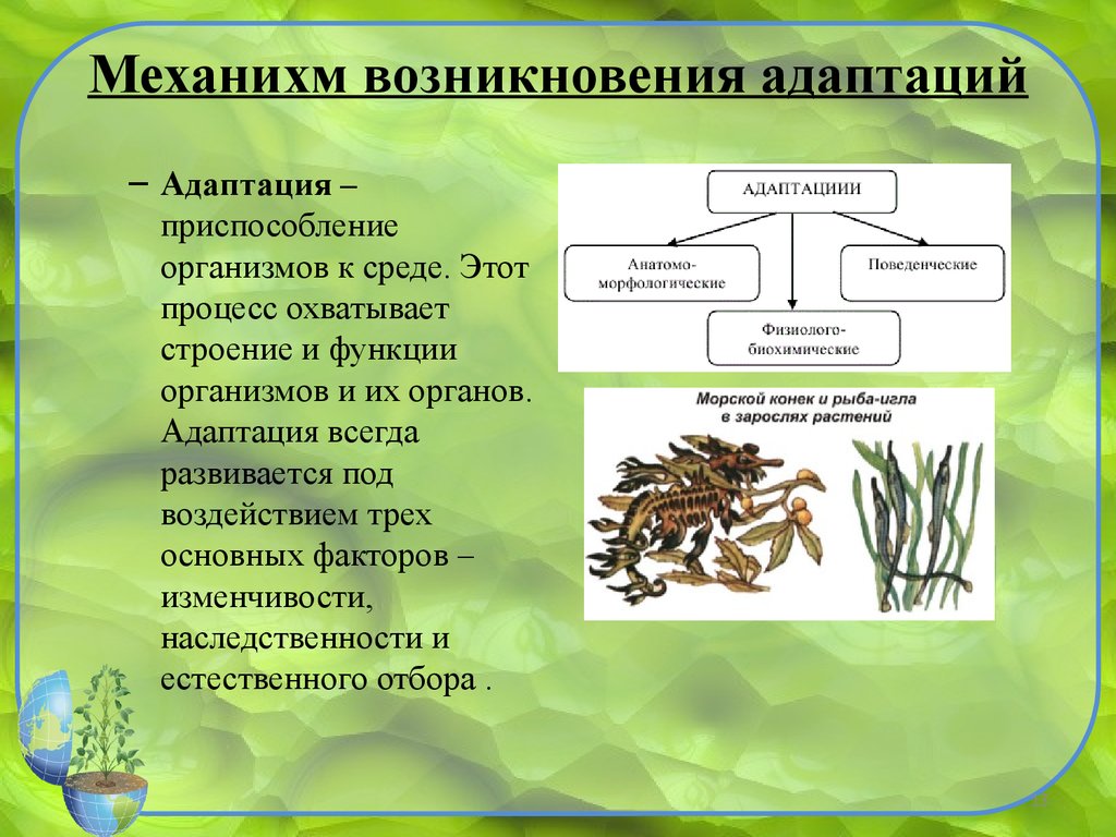 С какими факторами было связано их появление