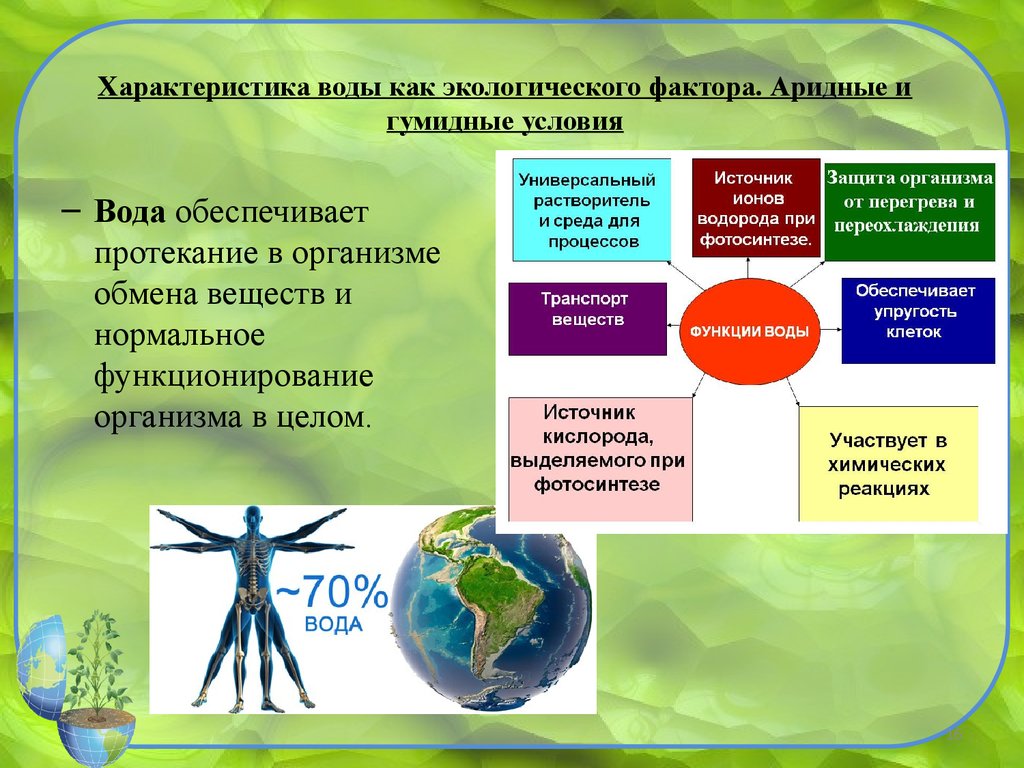 Курсовая работа по теме Современное состояние авифауны населенного пункта Аксубаево (Республика Татарстан) в 2022-2022 годах