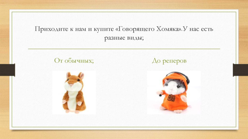 Приходите к нам и купите «Говорящего Хомяка».У нас есть разные виды;