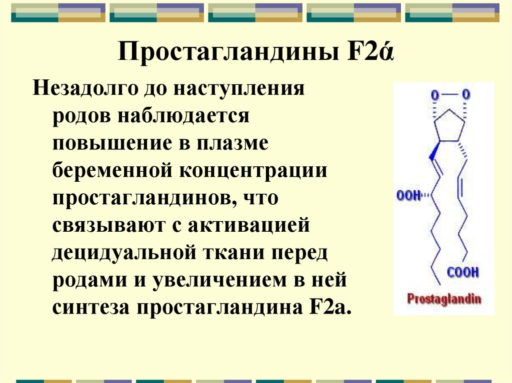 Простогландин. Простагландины е2 и f2α. Простагландина f2a препарат. Препараты простагландинов е2 и f2a:. Простагландин f2 функции.