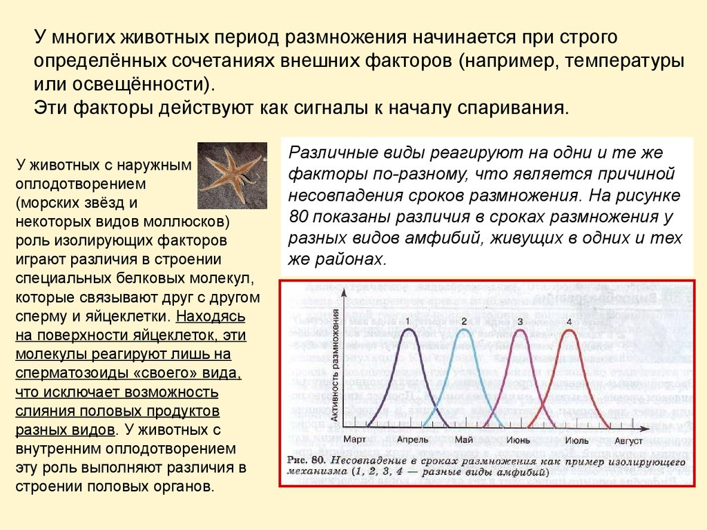 Изолирующие механизмы 9 класс биология презентация