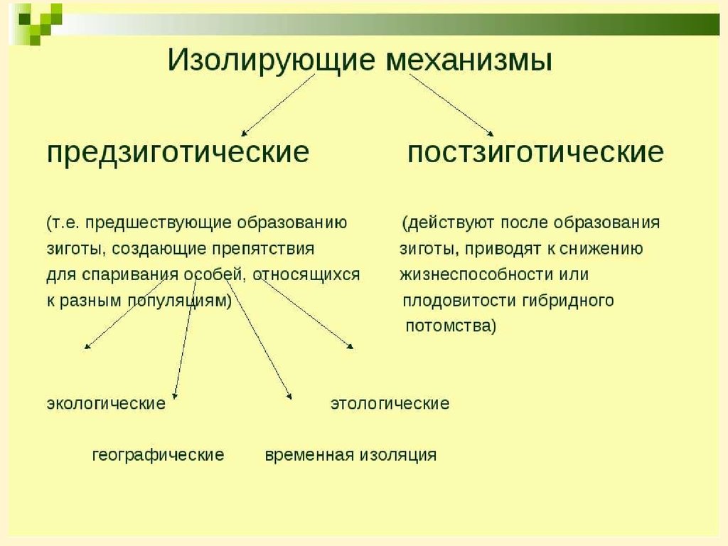 Механизмы эволюции презентация