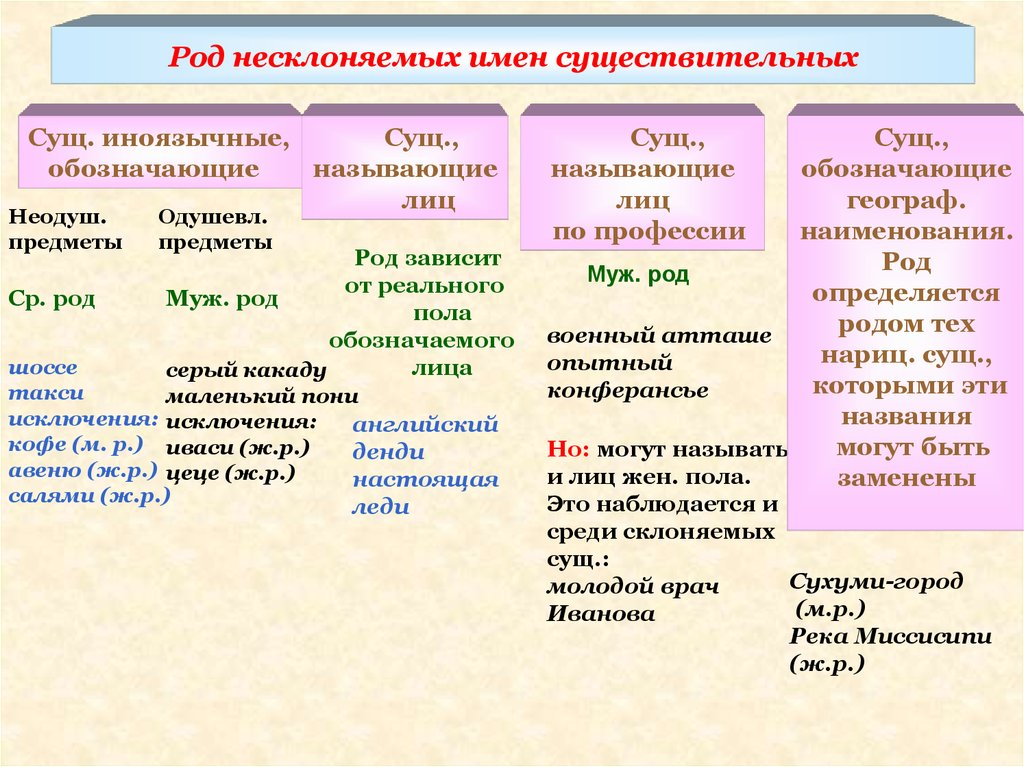 Род несклоняемых имен существительных 5 класс презентация