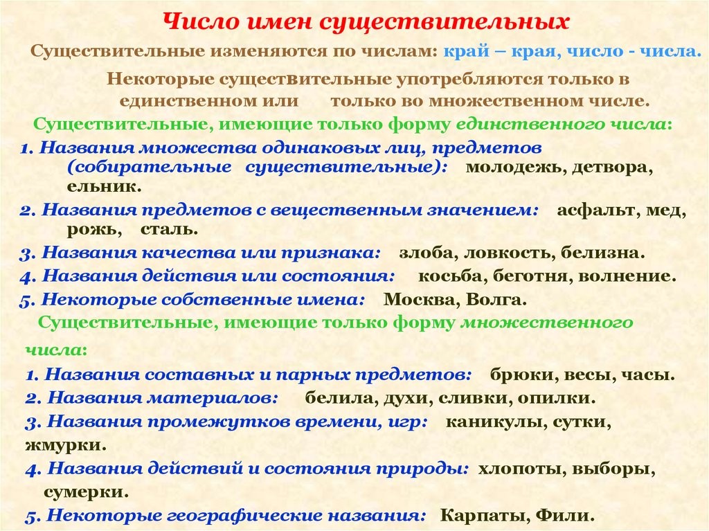 Форма единственного множественного числа. Существительные имеющие форму единственного и множественного числа. Как определить число существительных 5 класс. Число имён существительных 5 класс. Как определить число сущ.