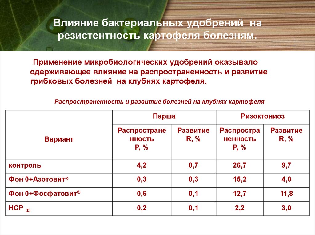 Бактериальные удобрения презентация