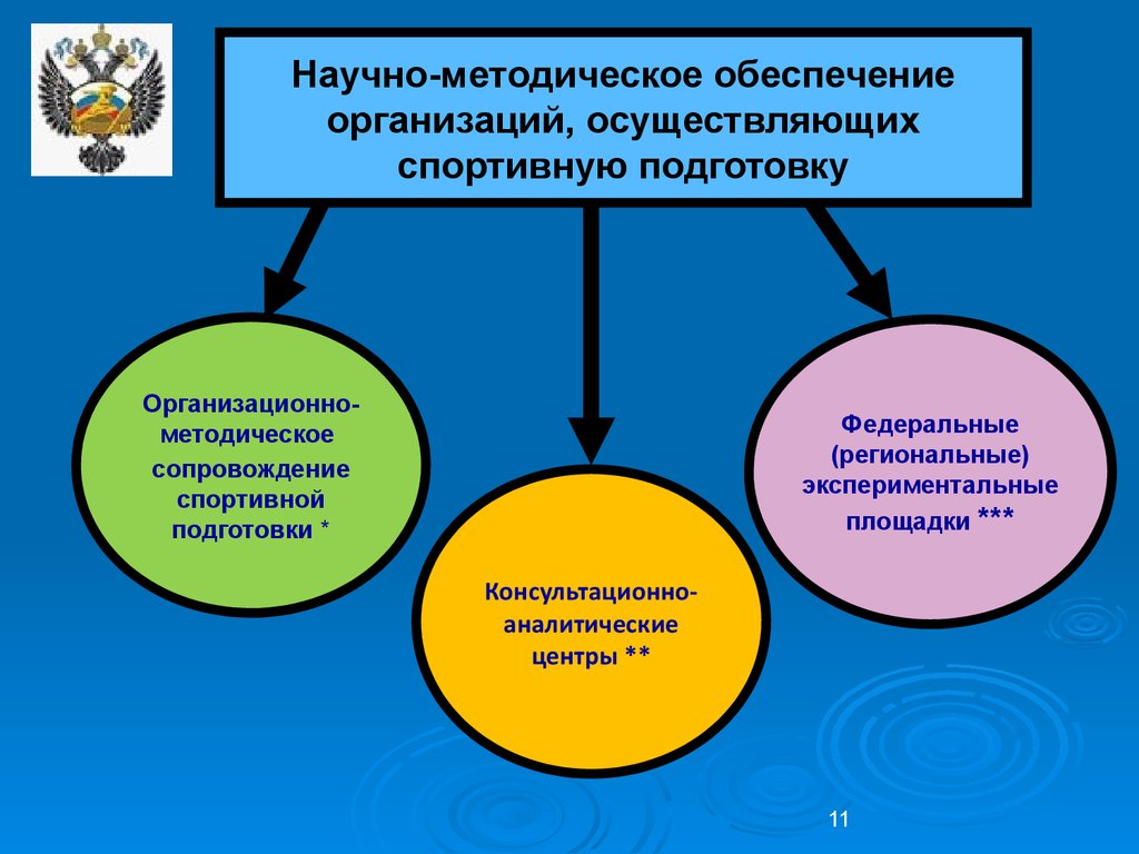 Рекомендации по организации спортивных организаций. Научно-методическое обеспечение это. Научно-методическое обеспечение спортивной подготовки. Организация спортивной подготовки. Научное и методическое обеспечение.