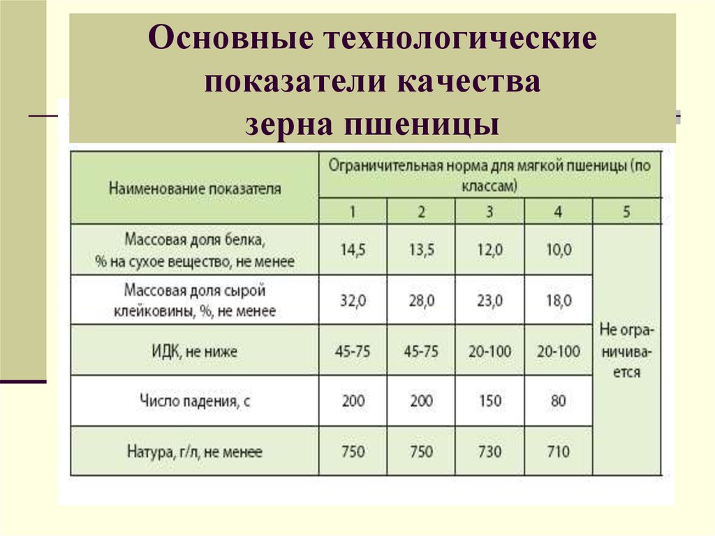 Технологические показатели проекта это