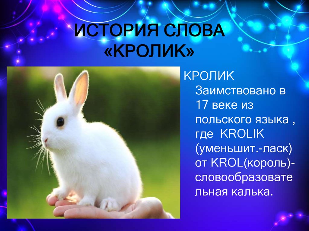 История слова кролик - презентация онлайн