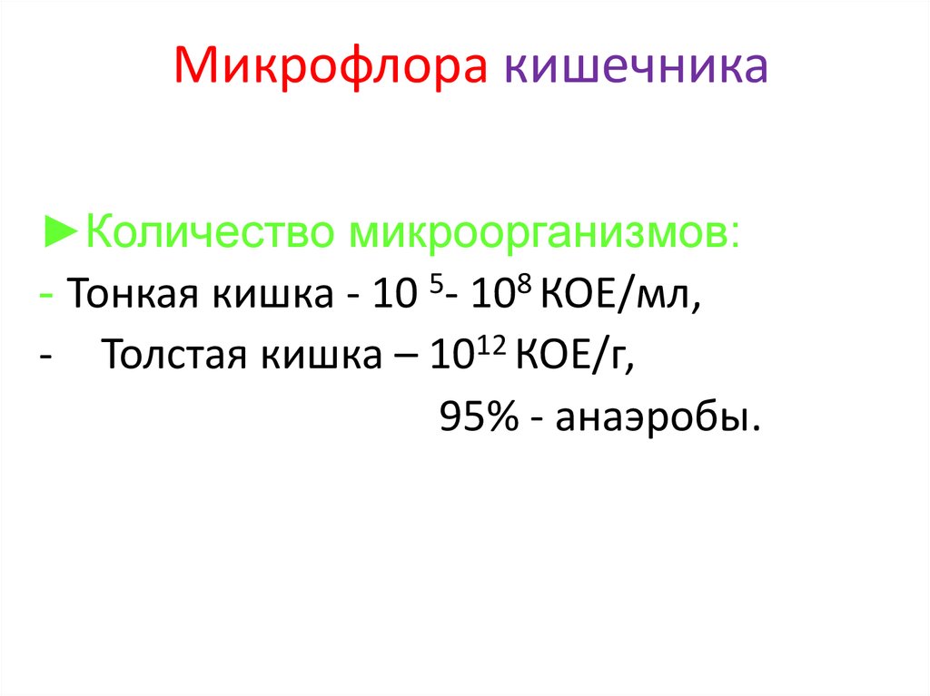 Микрофлора кормов и навоза презентация