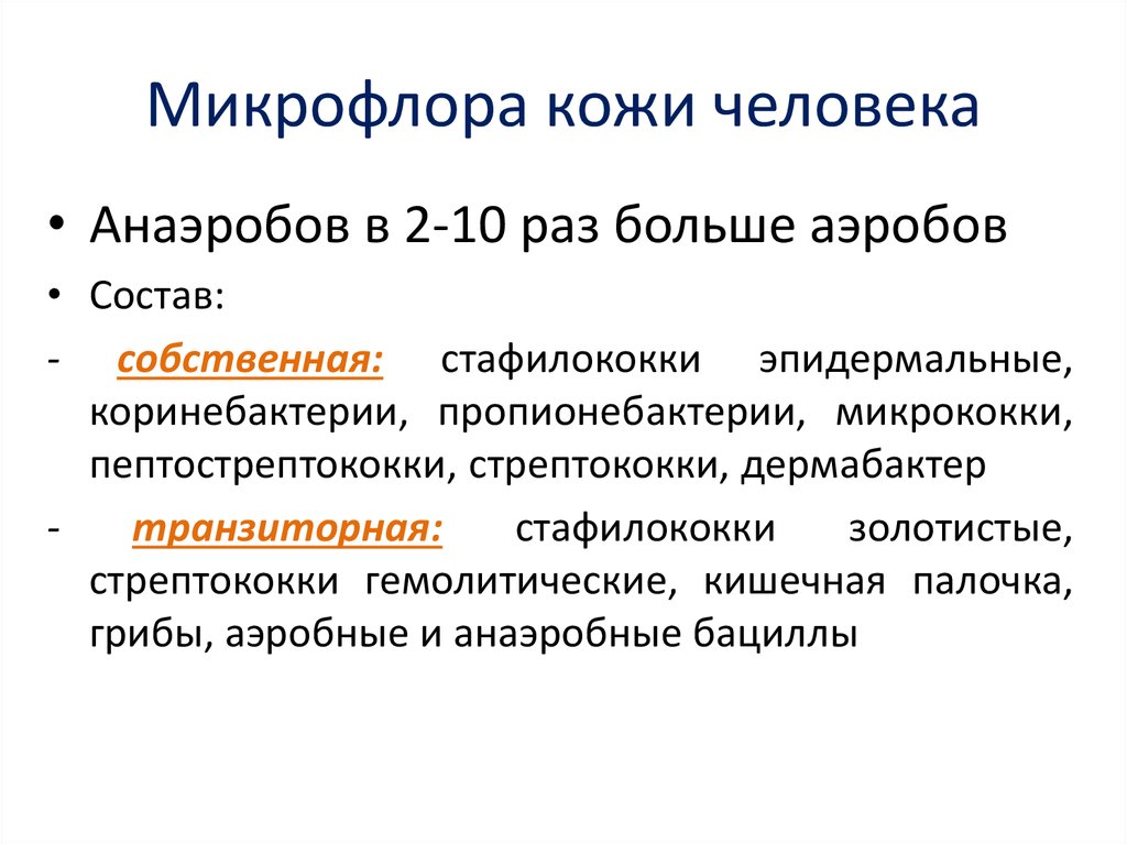 Транзиторная микрофлора. Состав нормальной микрофлоры кожи. Нормальная микрофлора кожных покровов человека. Функции микрофлоры кожи. Нормальная микрофлора кожи микробиология.