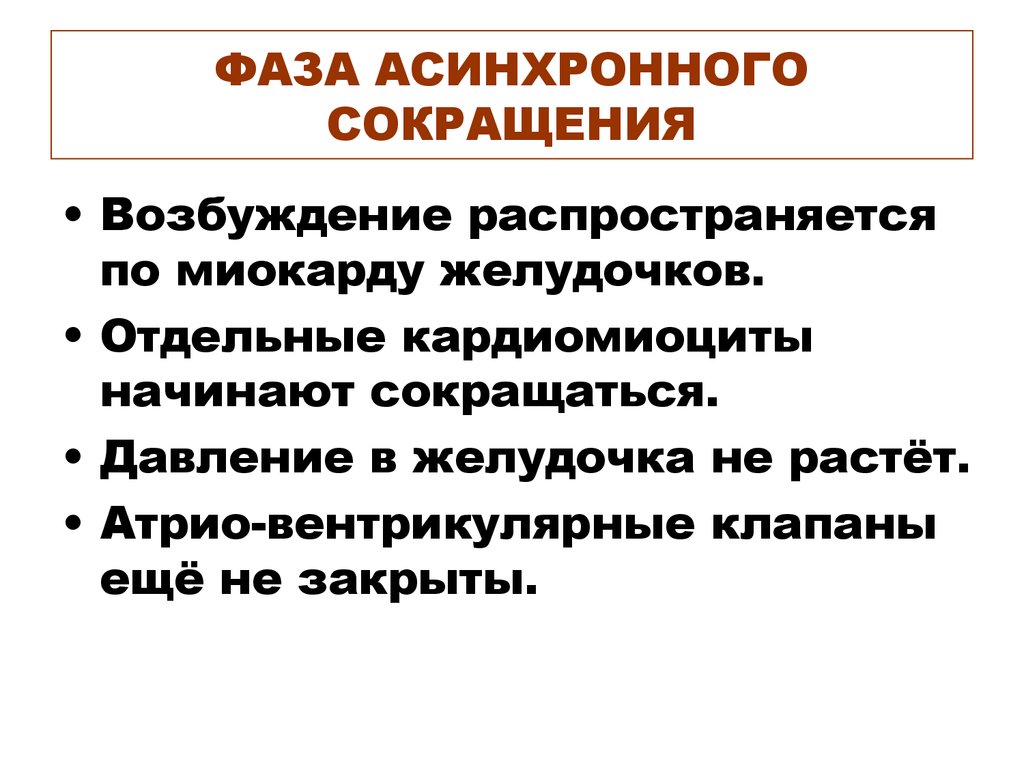 Сокращение желудочков. Фаза асинхронного сокращения. Асинхронное сокращение. Фаза асинхронного сокращения желудочков. Асинхронное сокращение желудочков.