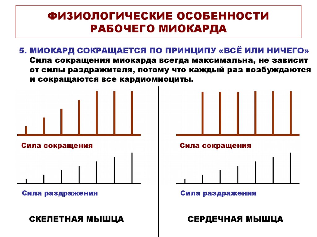 Частота сокращения сила сокращения. Физиологические свойства рабочего миокарда. Морфологические особенности миокарда. Физиологические особенности сокращения миокарда. Физиологические свойства миокарда физиология.