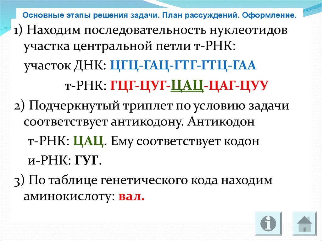 Кодону т комплементарен кодону. Антикодон т-РНК. Задачи на генетический код с решением. Задачи на ДНК И РНК С решением. Цаг участок ДНК.