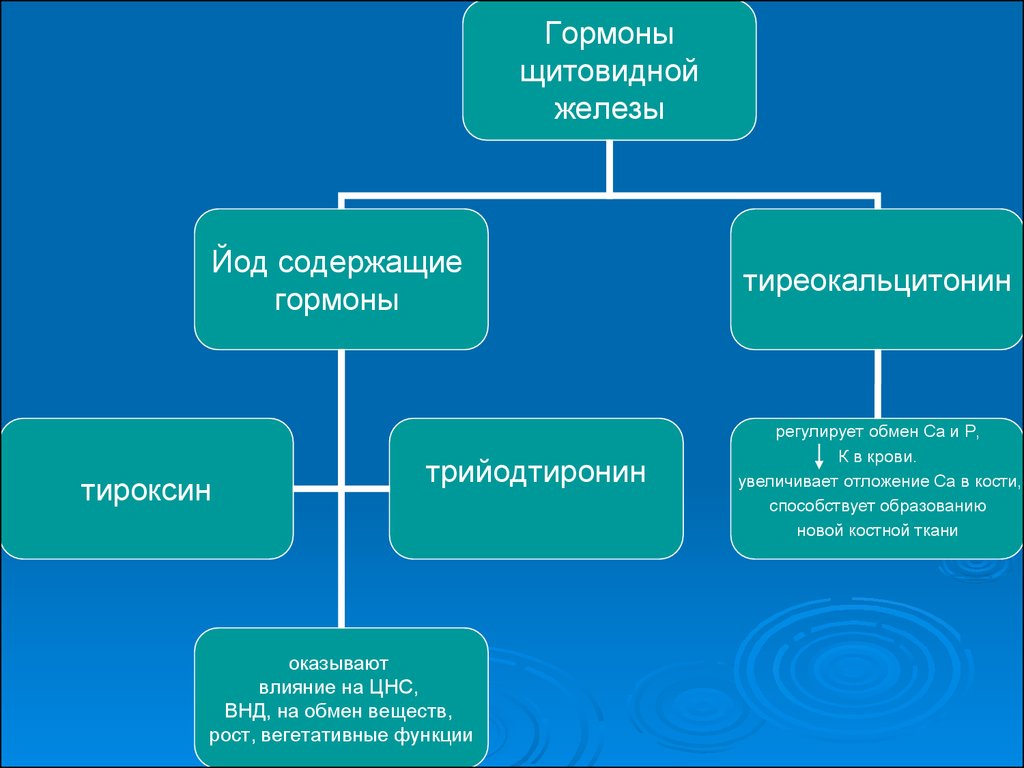 Характеристика органов