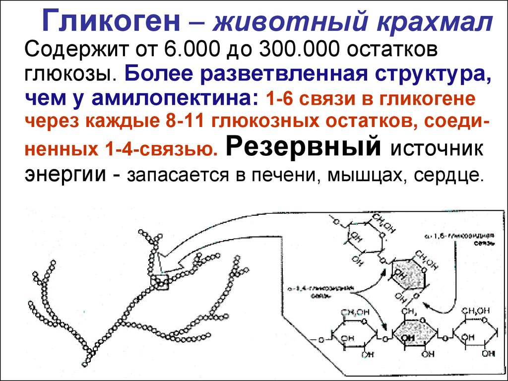 Гликоген. Строение гликогена биохимия. Гликоген структурная формула. Фрагмент гликогена формула. Гликоген строение.