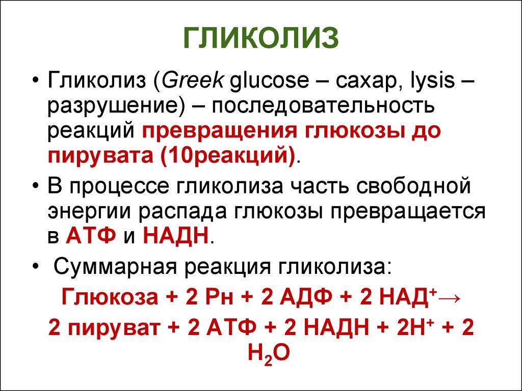 Общая схема гликолиза