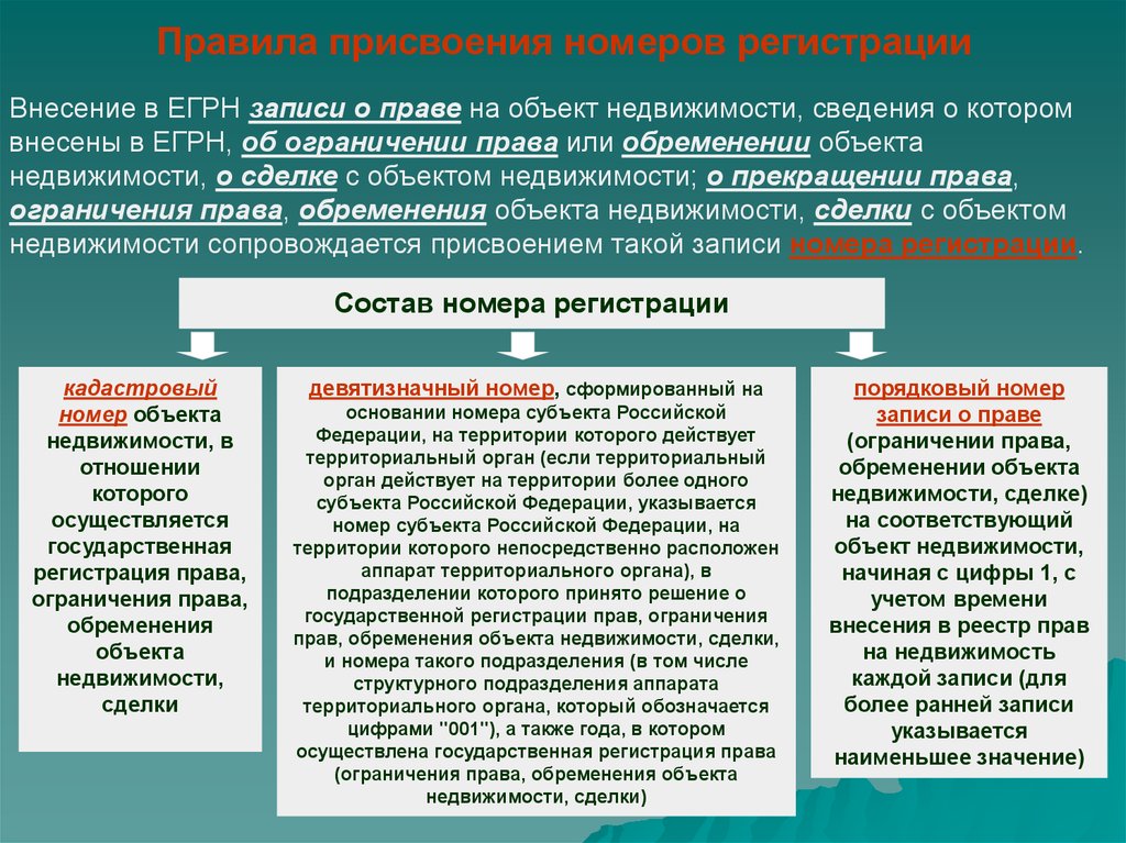 Объекты присвоения. Внесение сведений в ЕГРН. Порядок присвоения объектам недвижимости кадастровых. Порядок присвоения объектам недвижимости кадастровых номеров. Принципы кадастрового деления РФ.