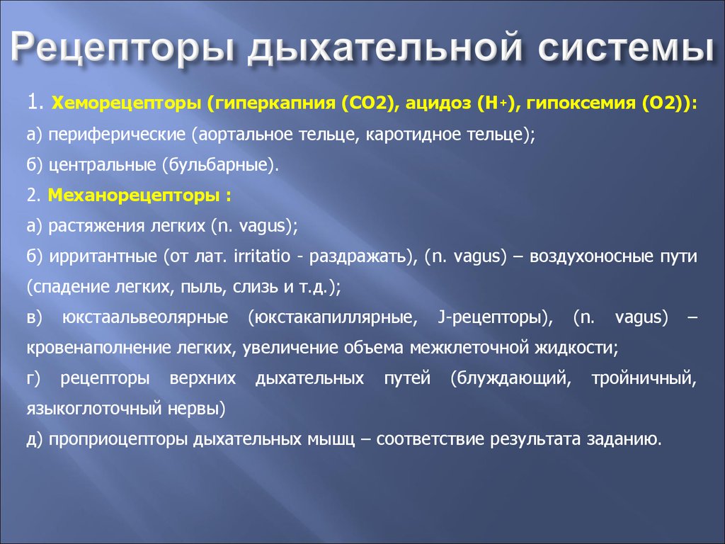 Характеристика 2 дыхание. Рецепторы дыхательной системы. Виды рецепторов дыхательной системы. Роль рецепторов в регуляции дыхания. Роль механо- и хеморецепторов в регуляции дыхания..