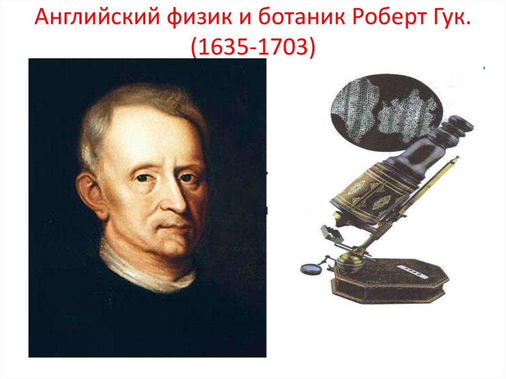 Гук физик. Роберт Гук. Роберт Гук физик. Робертом Гуком (1635 - 1703). Роберт Гук биология.