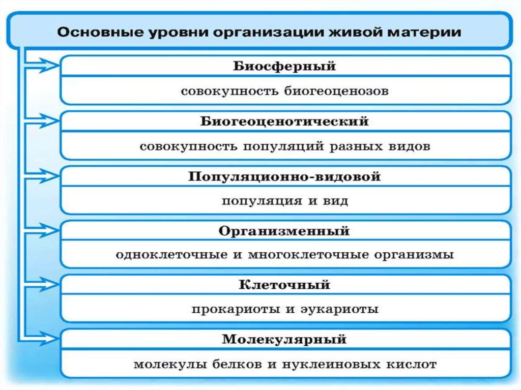 Методы живой природы. Методы исследования в биологии ЕГЭ таблица. Методы изучения в биологии таблица для ЕГЭ. Методы биологических исследований ЕГЭ 2022. Методы биологических исследований ЕГЭ биология.