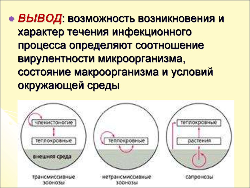 Возможность вывести