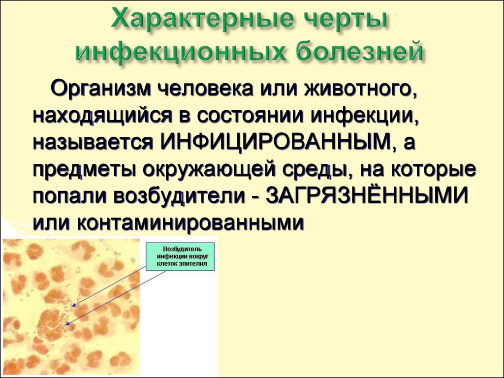 Отличительная особенность инфекционных заболеваний