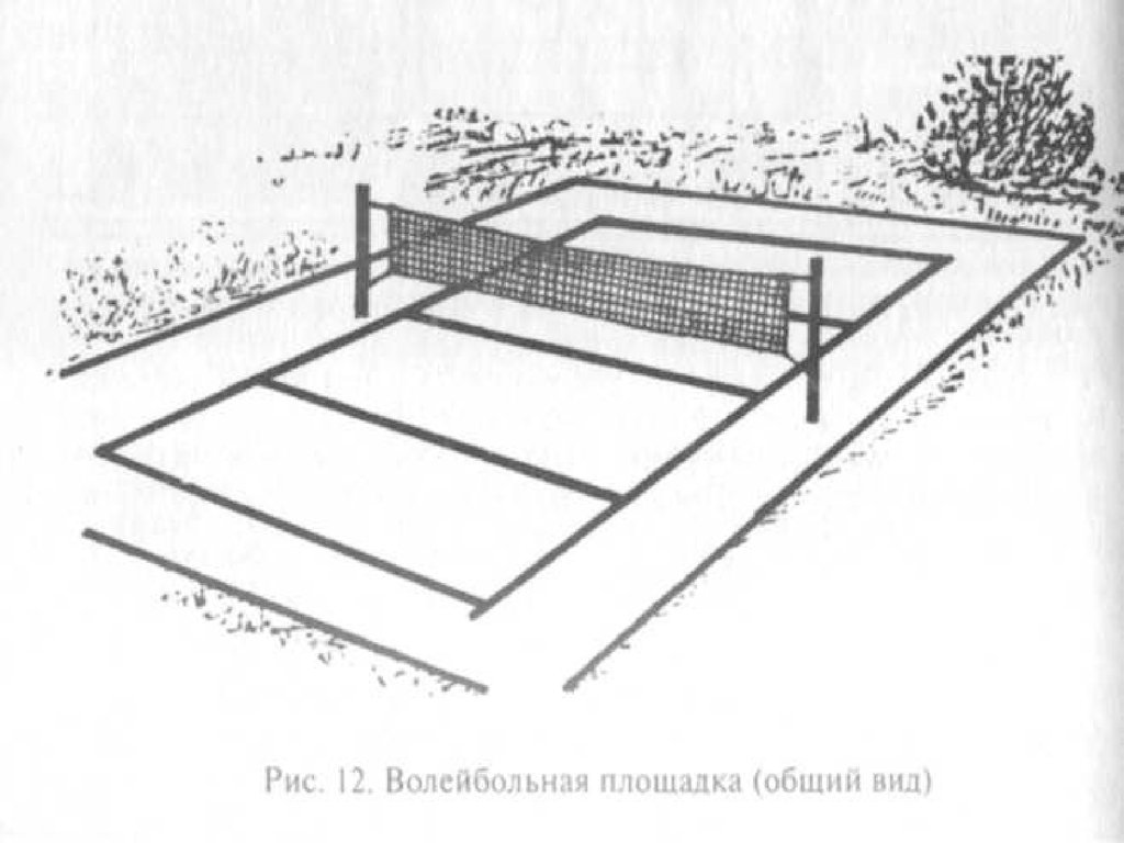 Волейбольная площадка рисунок схема