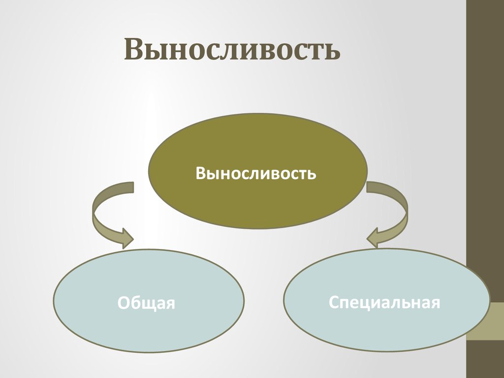 Сила выносливость. Общая выносливость. Общая и специальная выносливость. Виды выносливости схема. Общая и специальная выносливость схема.