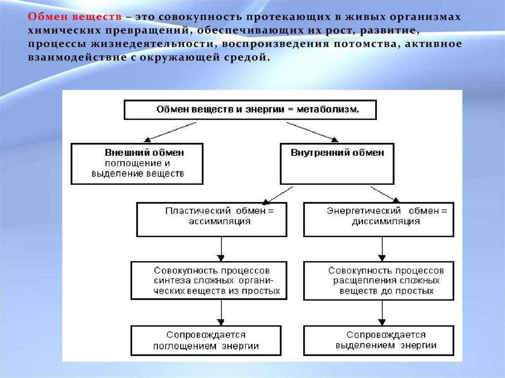 Обмен веществ между организмом и окружающей. Обмен веществ. Обмен веществ живых организмов. Схема обмена веществ живых организмов. Обмен веществ это совокупность протекающих.