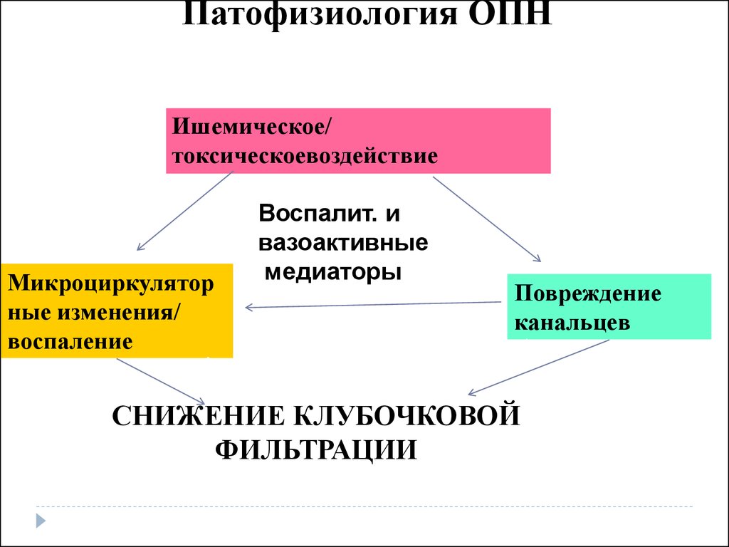 Острая почечная недостаточность патогенез