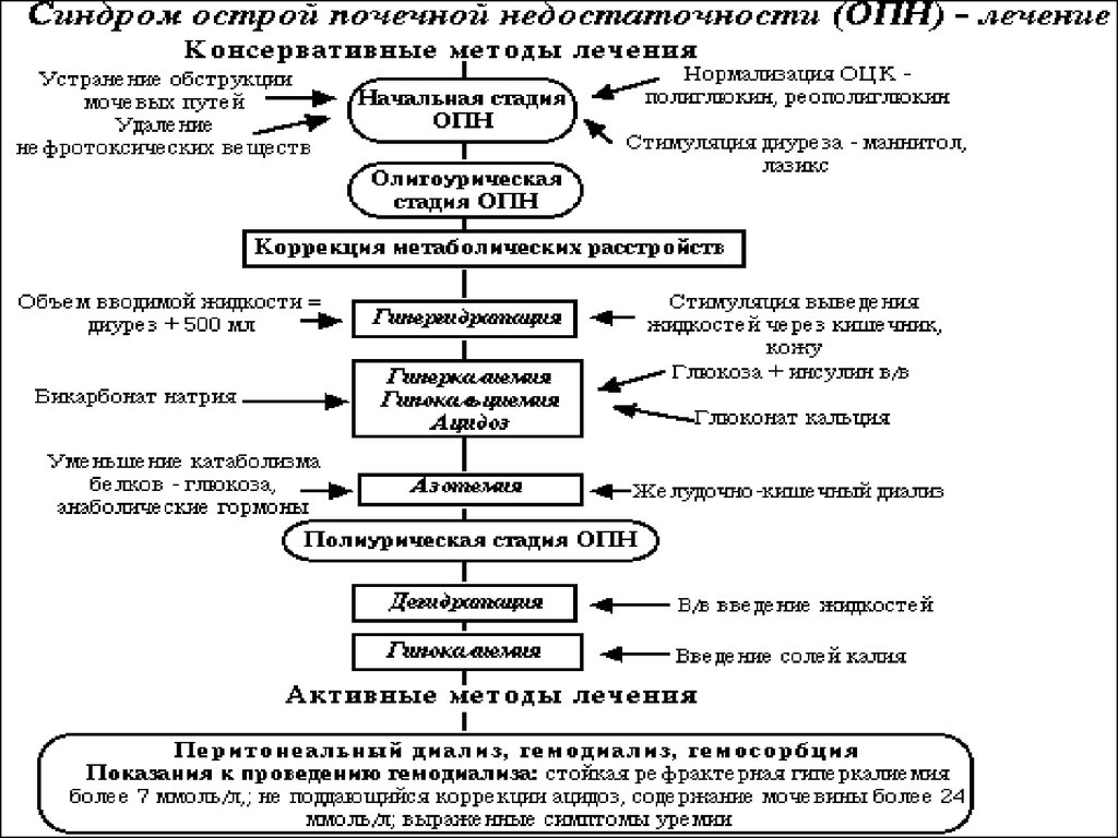 Схема медикаментозного лечения острой почечной недостаточности