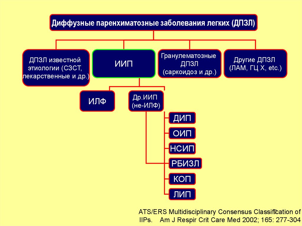 Лекарственные поражения легких презентация