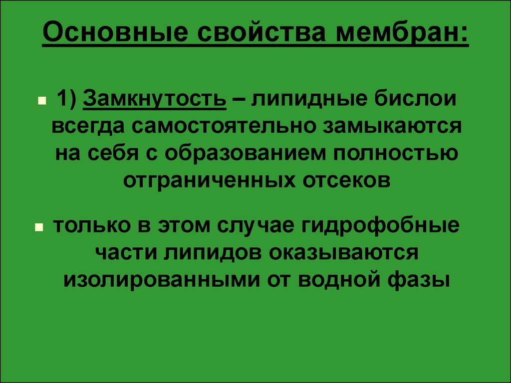 Свойства мембран презентация