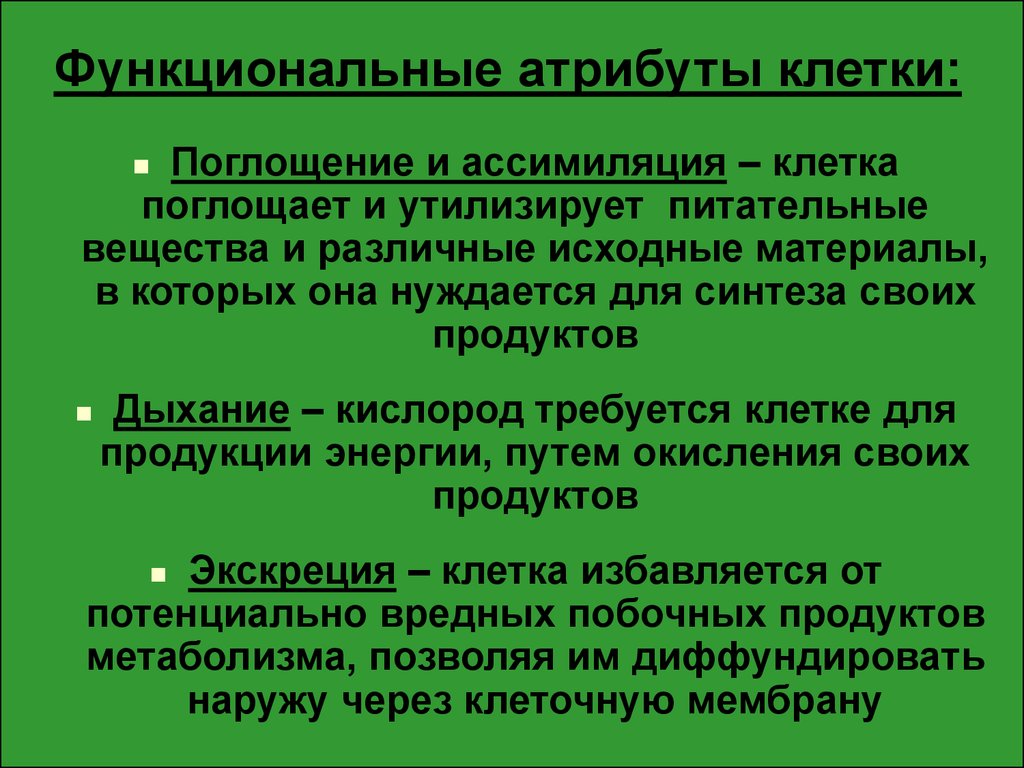 Поглощение клеток. Функциональные атрибуты клетки. Атрибуты для клетки. Ассимиляция клеточное дыхание. Концепция атрибуты клетки.