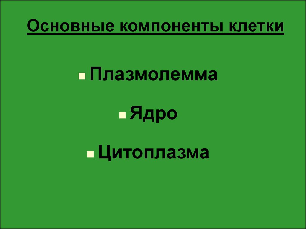 Основные компоненты клетки