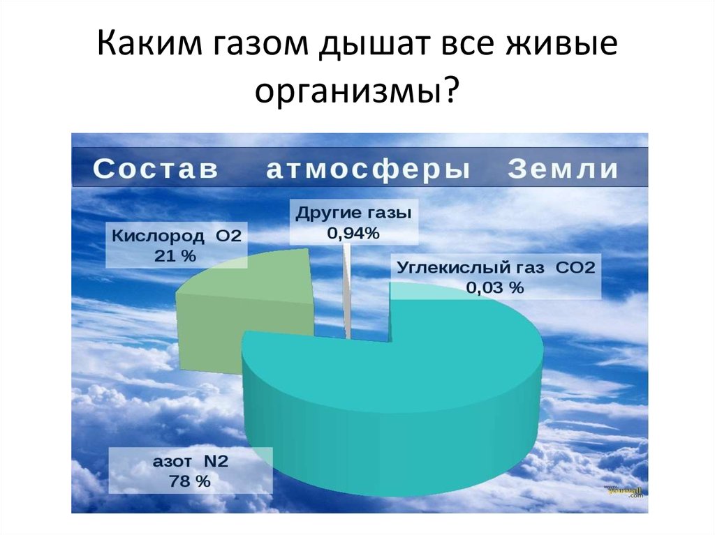 Количество газов в атмосфере. Состав газов в атмосфере. Составь атмосферы земли. Газовый состав атмосферы. Избяешо состоит атмосфера.