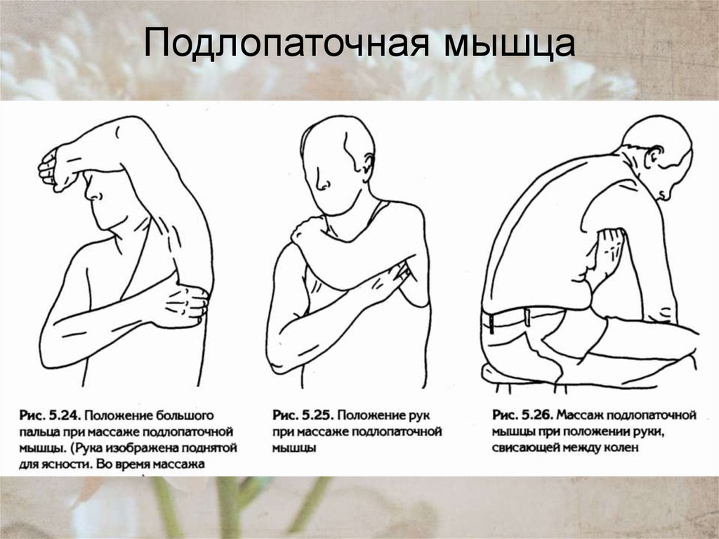 Подлопаточная мышца. Растяжка подлопаточной мышцы. Растяжение подлопаточной мышцы. Подлопаточная мышца упражнения.