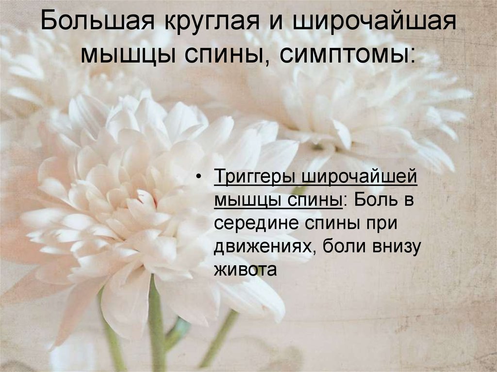 Большая круглая и широчайшая мышцы спины, симптомы: