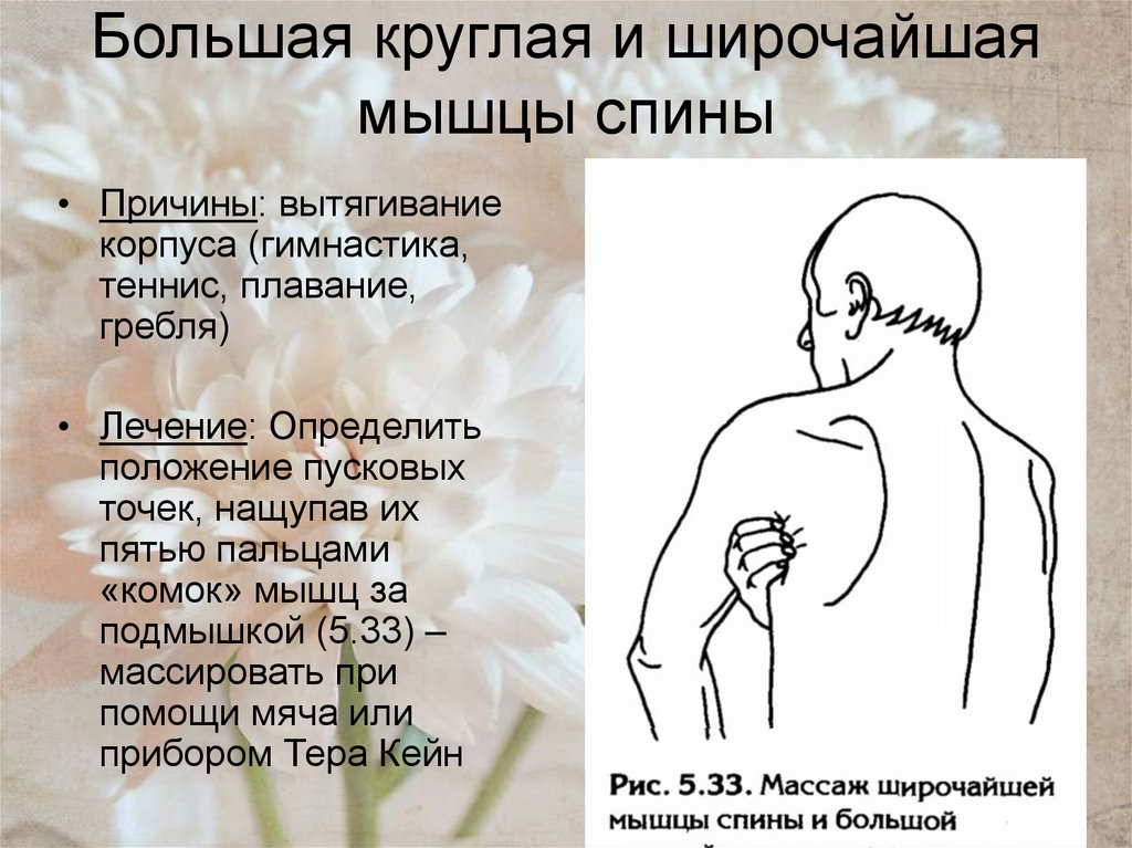 Большая круглая и широчайшая мышцы спины